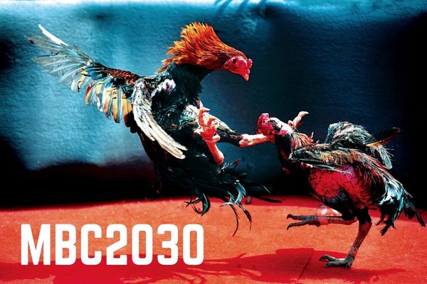Complete Guide on MBC2030 Dashboard, Register and Login Process