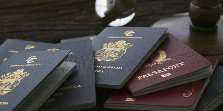 Comparing Malta and Turkey’s Citizenship by Investment Programs: Key Features