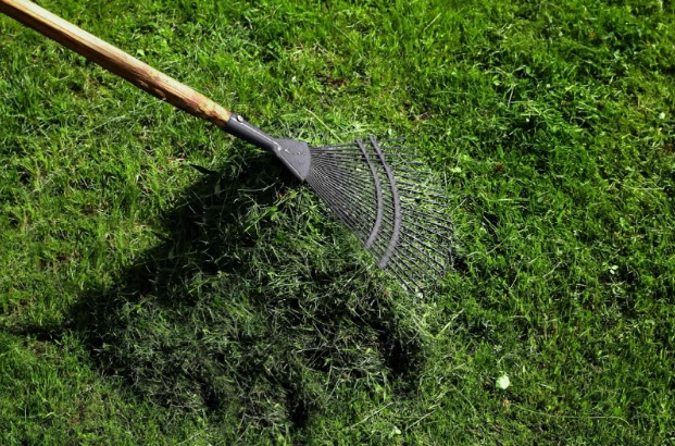Should grass clippings be removed from the lawn: pros and cons
